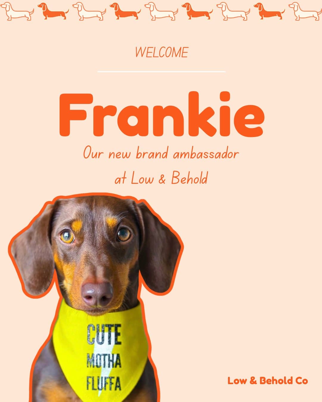 Frankie, a new Low & Behold brand ambassador