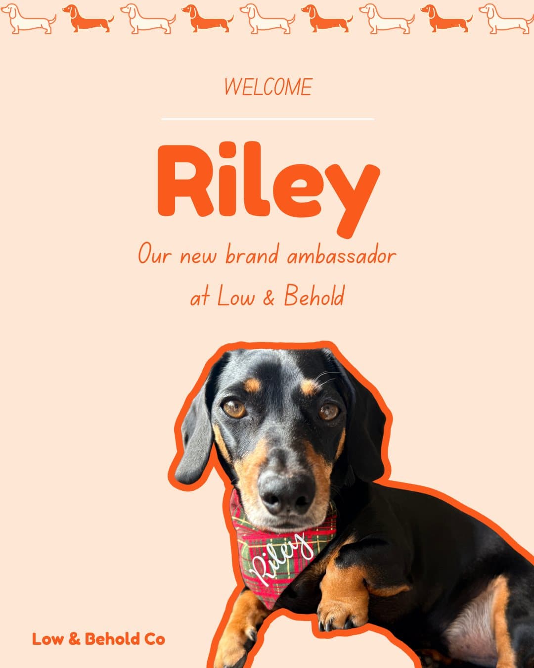 Riley, a new Low & Behold brand ambassador