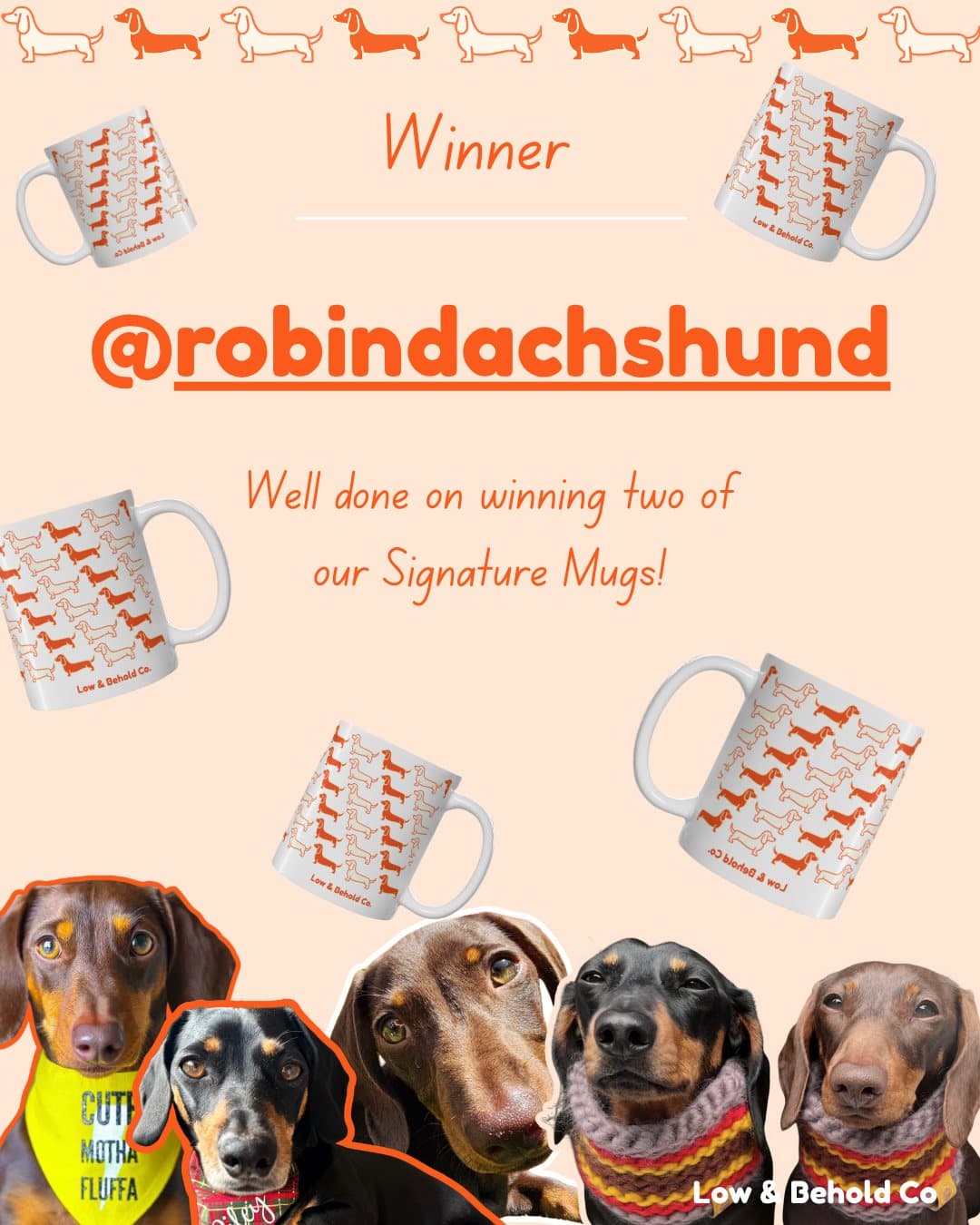 @robindachshund wins two Low & Behold Signature Mugs