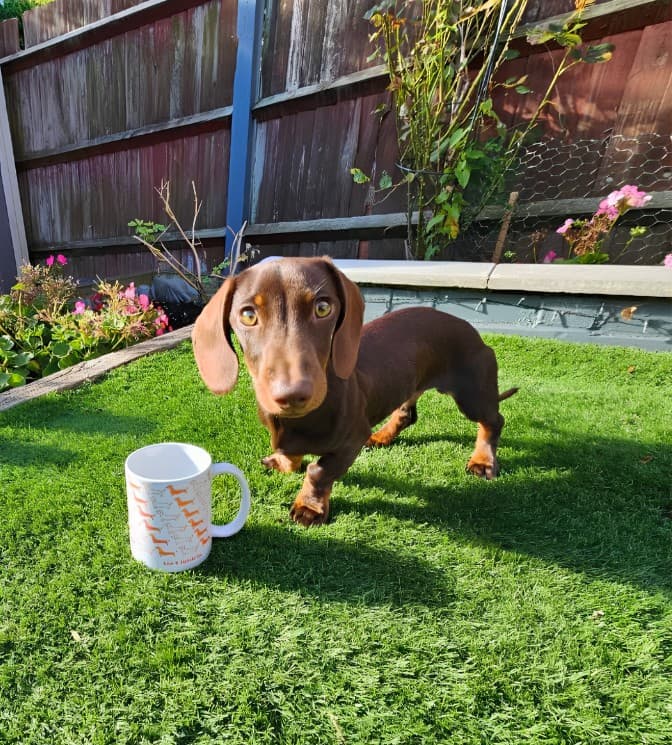 Signature Mug
